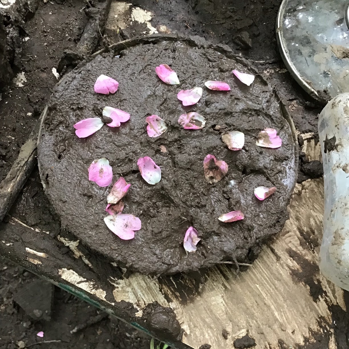 A mud cake with pink petals