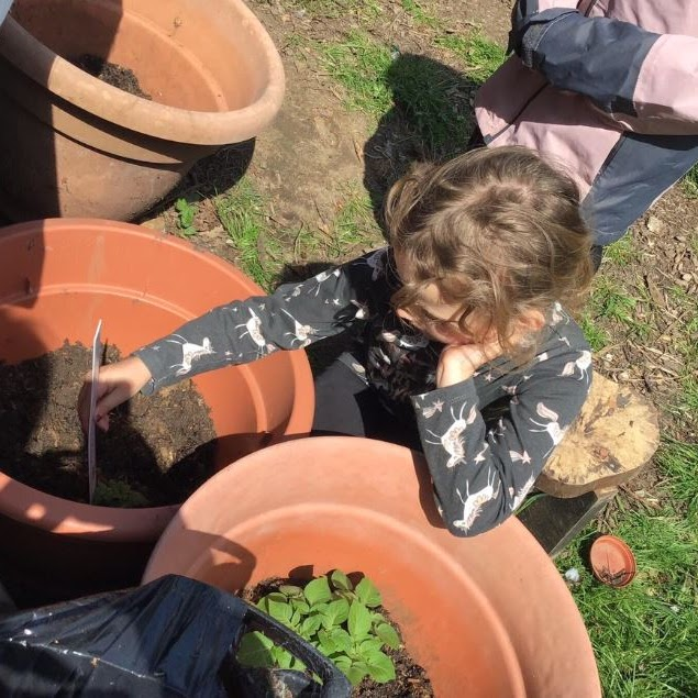 A child examining the plants