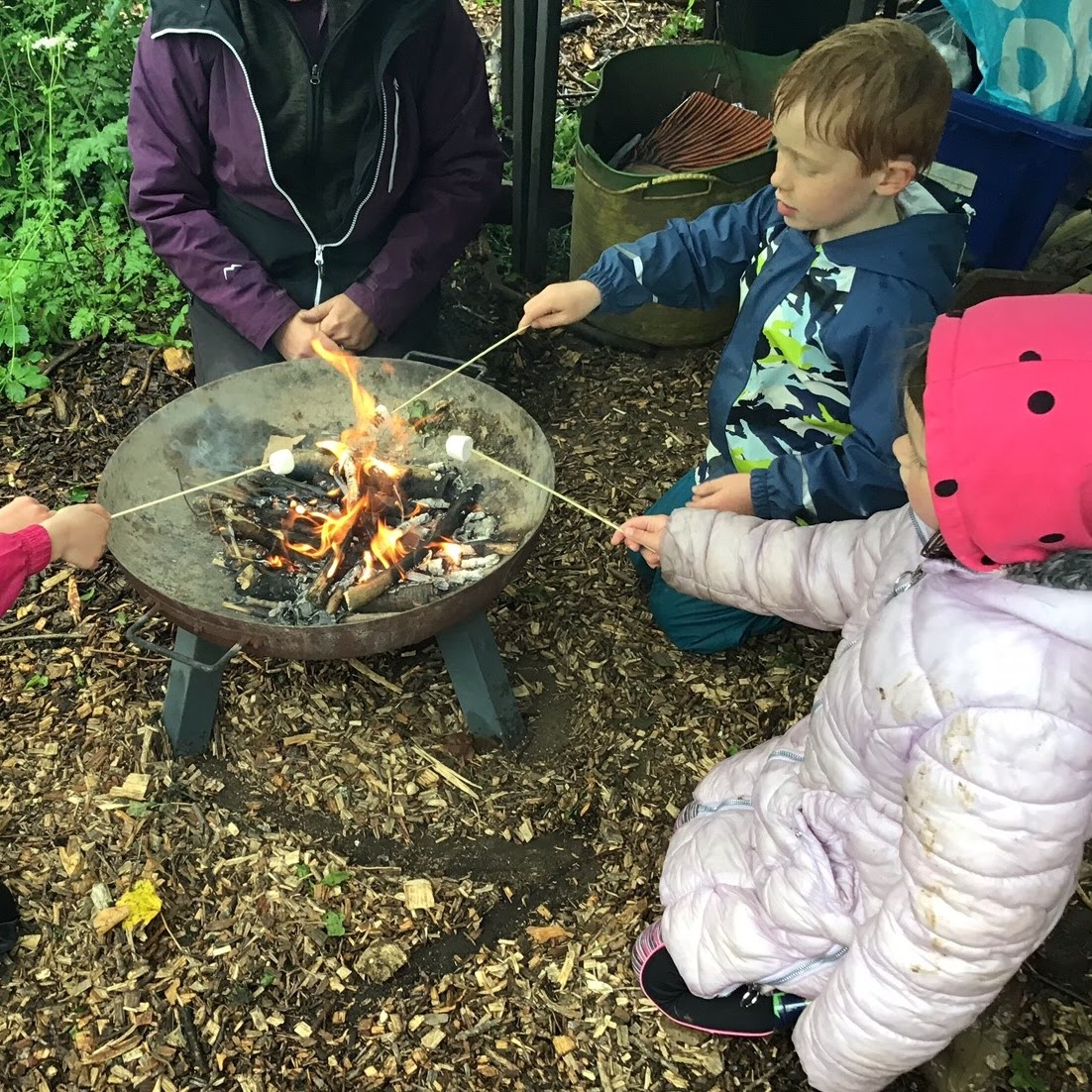 Children toasting marshmallows on the campfire