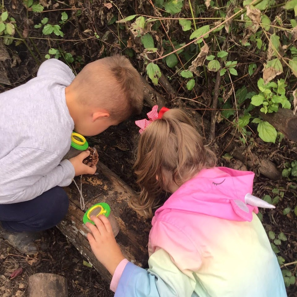 Two children examining the natural environment