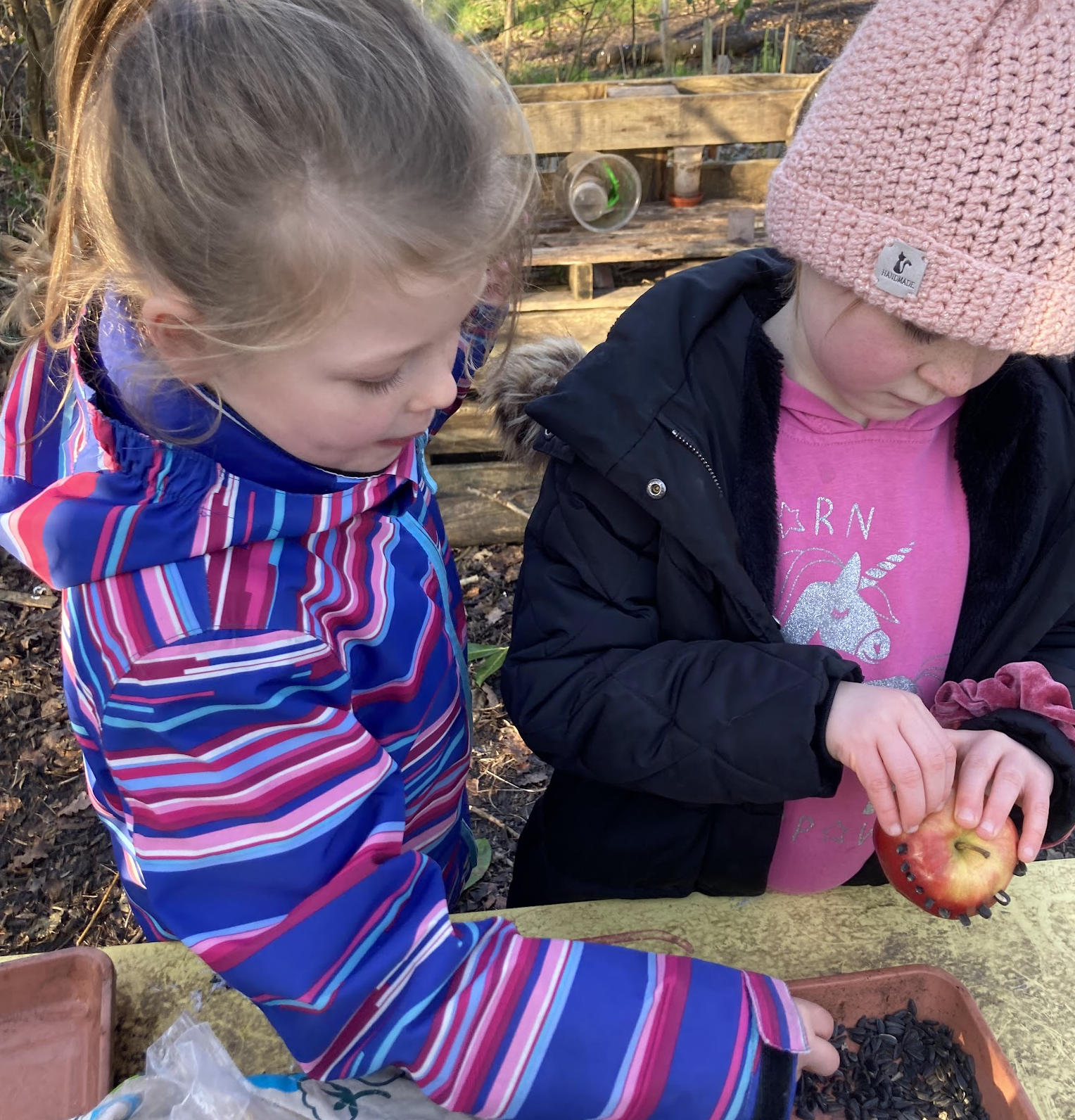 Two girls making bird feeders from apples